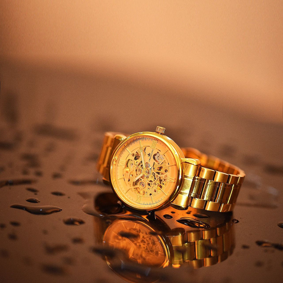 Franklord Mechanis Regal Gold Watch displayed in a water test setting, showcasing its 5ATM water resistance for durability and practicality.